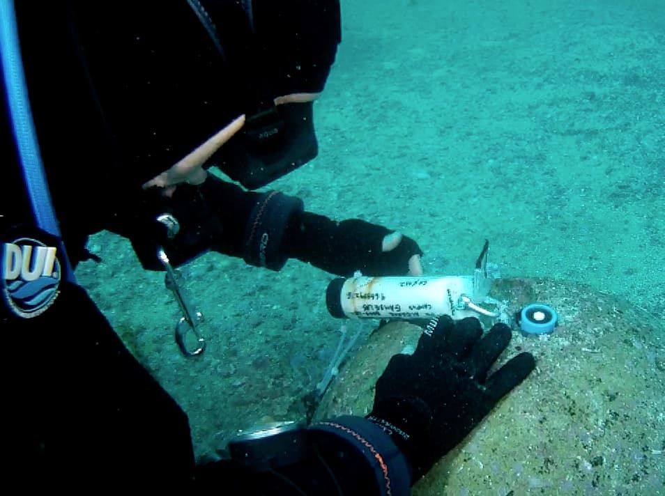 Scientific Diving Services