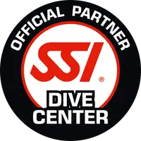 SSI